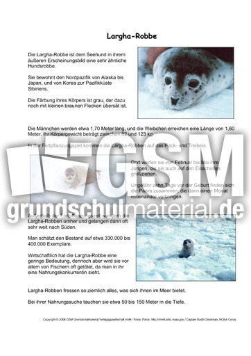 Largha-Robbe-Steckbrief.pdf